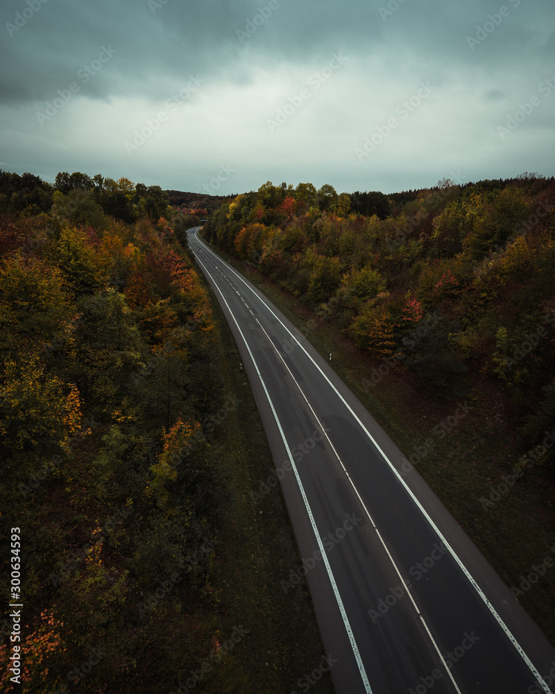 road trough an autumn forrest