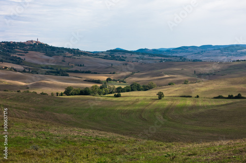 Typical rural landscape panorama at south Tuscany  Siena province  Tuscany  Italy