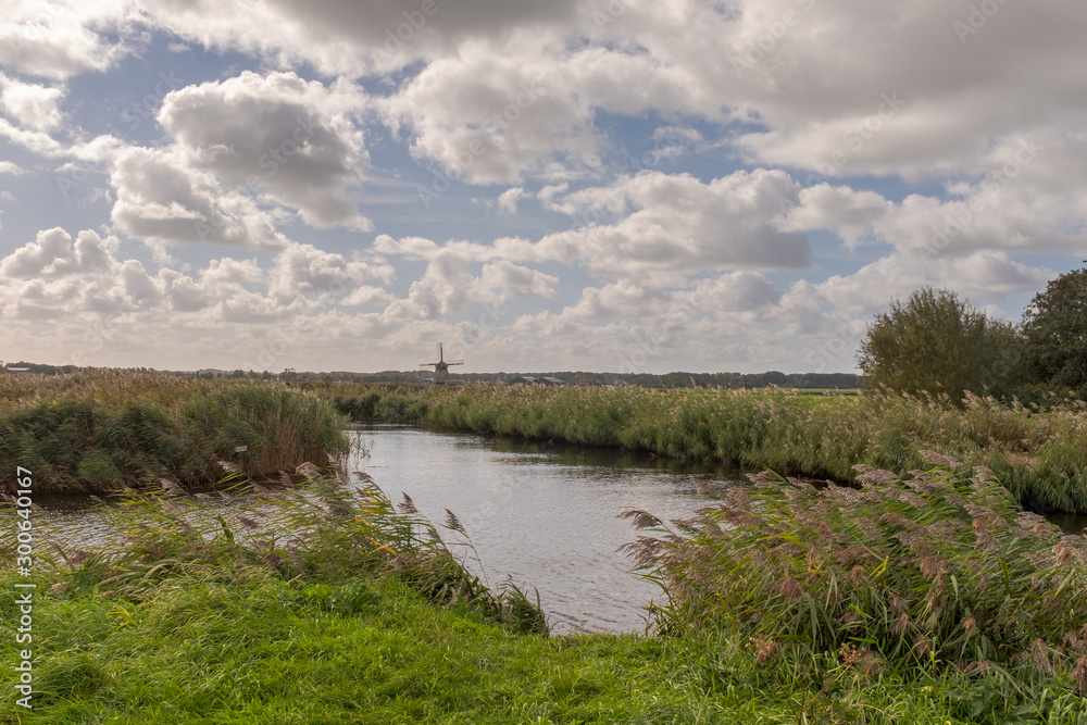 Wide ditch with reed collars and a silhouette of a windmill under a typical Dutch sky Wide ditch with reed collars and a silhouette of a windmill under a typical Dutch sky