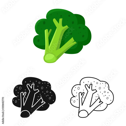 Isolated object of broccoli and product sign. Collection of broccoli and crop stock symbol for web.