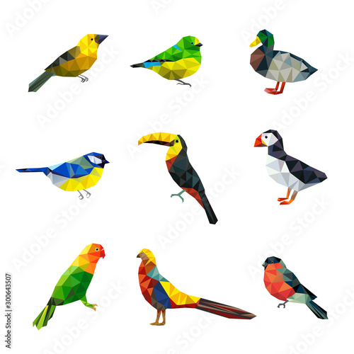 Polygonal birds. Triangle abstract shapes graphic flying birds collection asian animals vector characters collection. Illustration parrot and cockatoo, duck and bullfinch bird