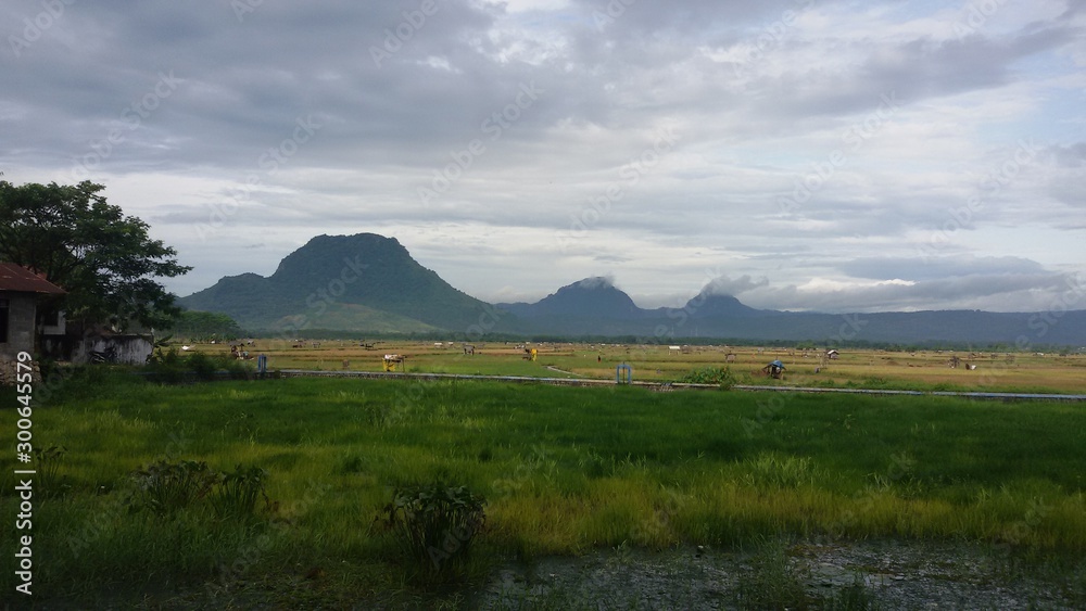 Obraz premium landscape with mountains