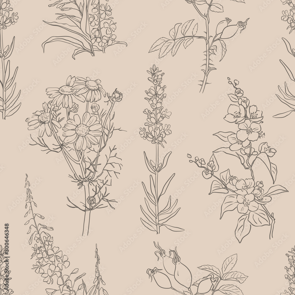 Fototapeta premium Herbal seamless pattern with herbs and plants sketches: jasmine, lavender, chamomile, willow herb and rose hip. Vector background. Healthy food, bio, organic, natural product, herbal tea, spices