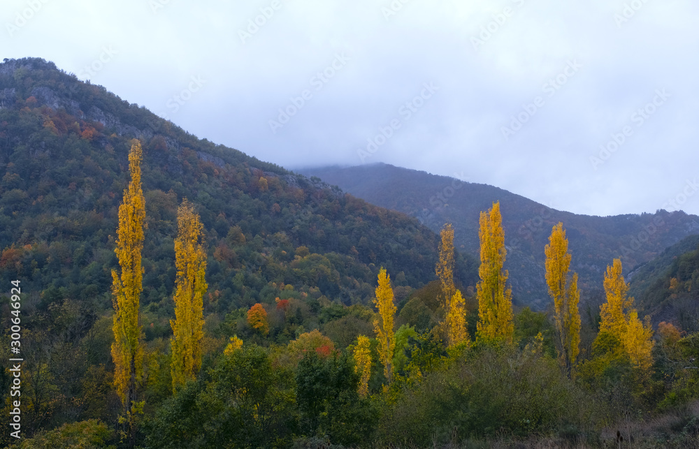 Autumn in the Arce Valley, Pyrenees of Navarra