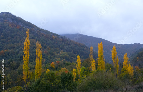 Autumn in the Arce Valley  Pyrenees of Navarra