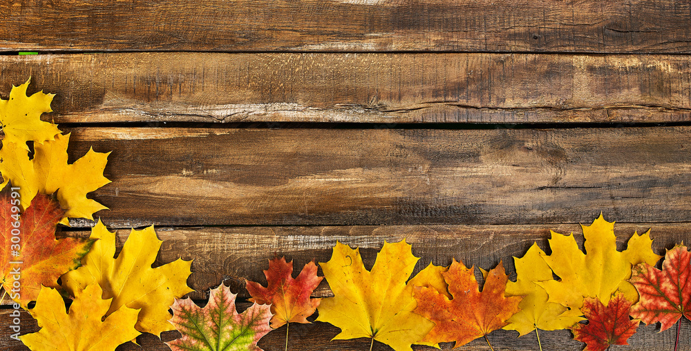 Autumn maple leaves on top view wooden boards. Horizontal frame with leafage on bottom Autumn maple leaves on top view wooden boards. Horizontal frame with leafage on bottom