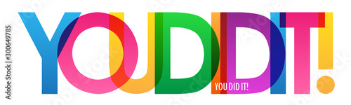 YOU DID IT! rainbow vector typography banner