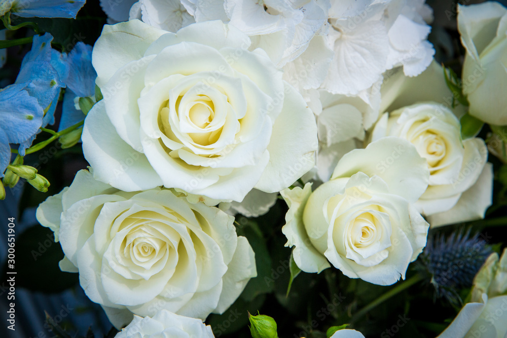 Obraz premium bouquet of roses
