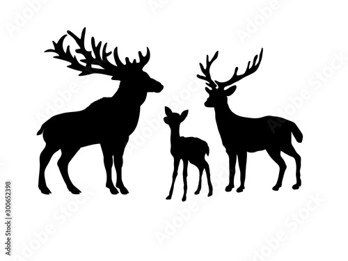 Deer family. Silhouettes of animals