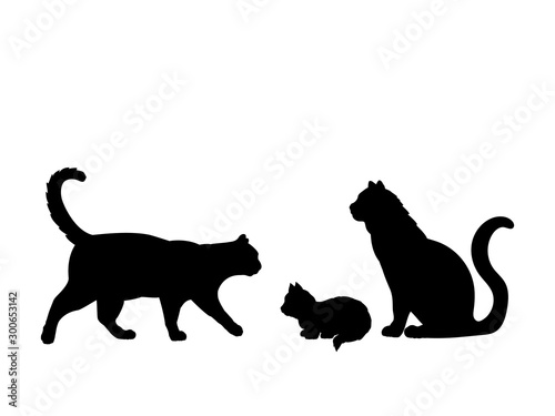 Cat family. Silhouettes of pet animals
