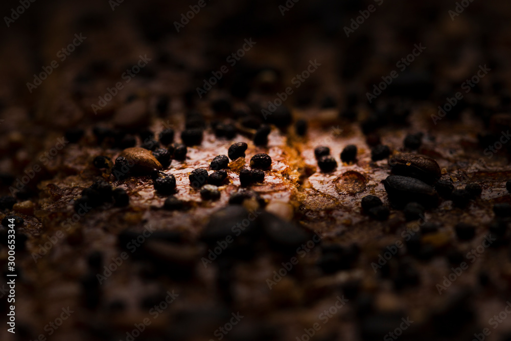 Texture of rye bread with cereals and seeds.