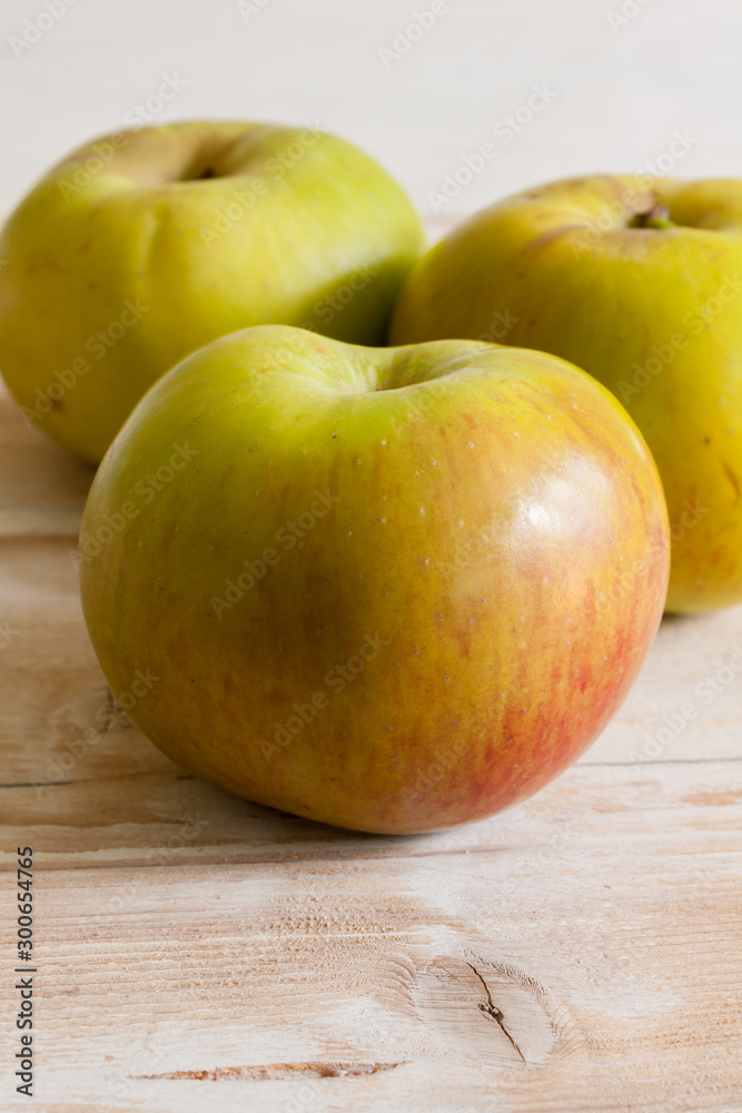 Bramley cooking apples or Malus domestica 'Bramley's Seedling' a popular British variety for making pies and desserts Bramley cooking apples or Malus domestica 'Bramley's Seedling' a popular British variety for making pies and desserts