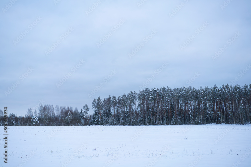 Winter scene 10 Winter scene 10