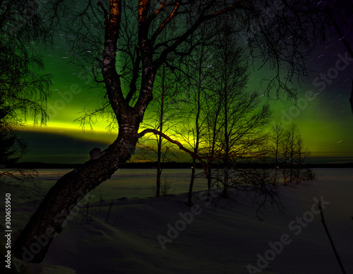 green lights at lapland