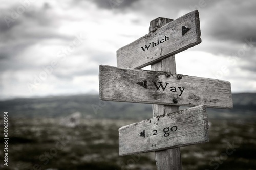 Which way to go wooden signpost outdoors in nature. Black and white, life, quotes, choices, business, corporate, path concept.