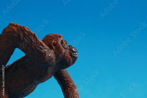 orangutan shaped plastic toy in color background