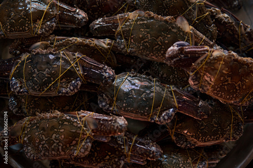 Close up of fresh crab at market. photo