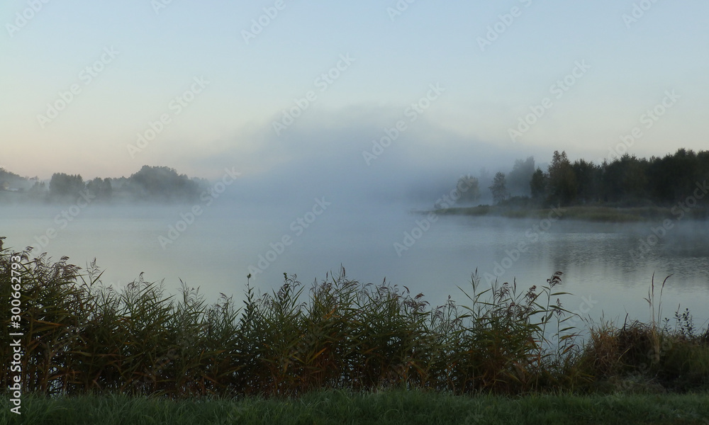 Fototapeta premium Beautiful foggy landscape in the morning hours