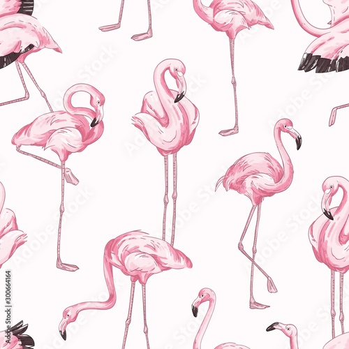 Colorful seamless pattern with pink flamingo. Hand drawn realistic background with tropical birds standing in different postures. Trendy vector backdrop with exotic wild animals.