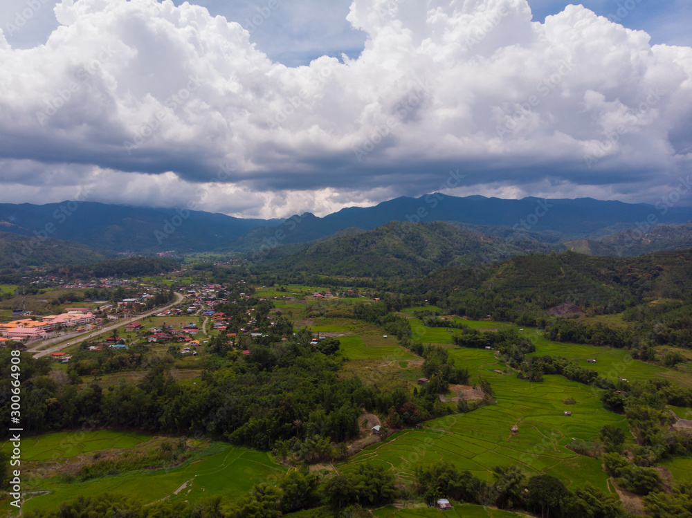 Aerial image of beautiful nature landscape with green paddy field.