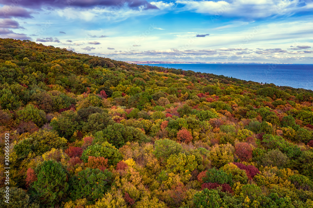 Aerial view from drone of colorful autumn forest and sea