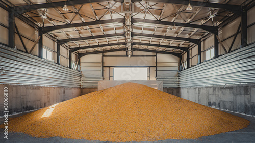 interior of an storage full of corn