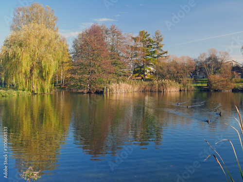 lake in the forest colorful reflection