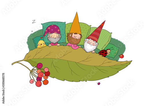 Three gnomes sleep under the leaf. Forest elves