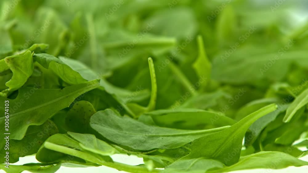 Fresh green arugula leaves lying in heap and goes around. Food for background. Fresh green arugula leaves lying in heap and goes around. Food for background.