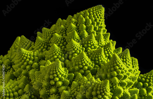 Romanesco cauliflower showing fractal patterns