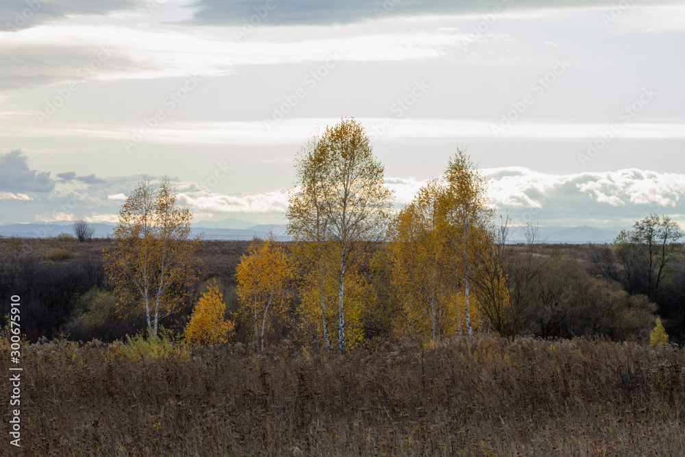 autumn in the mountains