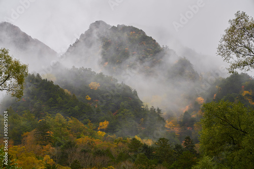 autumn forest mountain in kamikochi japan alpine