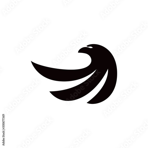 eagle bird vector logo template silhouette