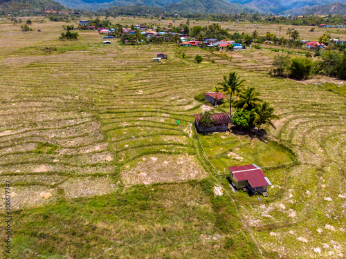 Beautiful Aerial image of rural landscape with beautiful young green paddy field in Tambunan, Sabah, Borneo photo