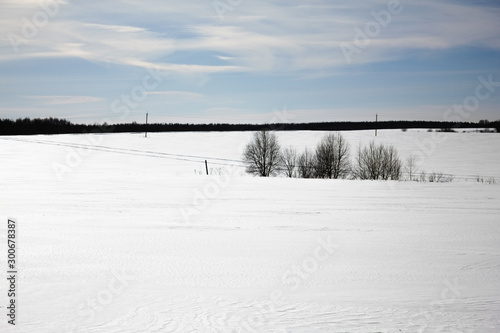 Winter landscape. Snow-covered field and forest on the horizon on a clear winter day. Nature of Russia in winter. White drifts