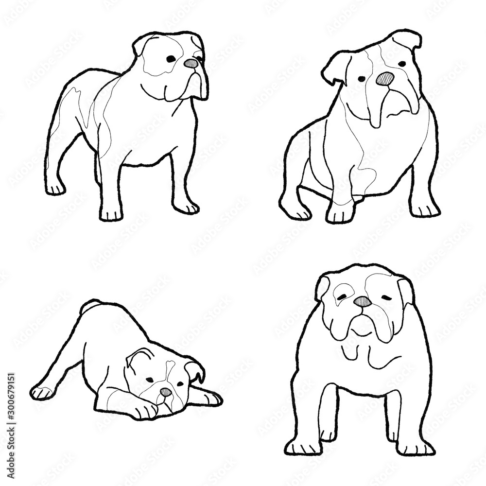 Naklejka premium Bulldog Animal Vector Illustration Hand Drawn Cartoon Art