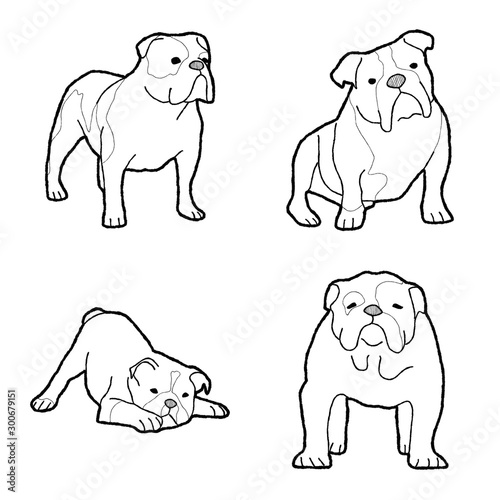 Bulldog Animal Vector Illustration Hand Drawn Cartoon Art
