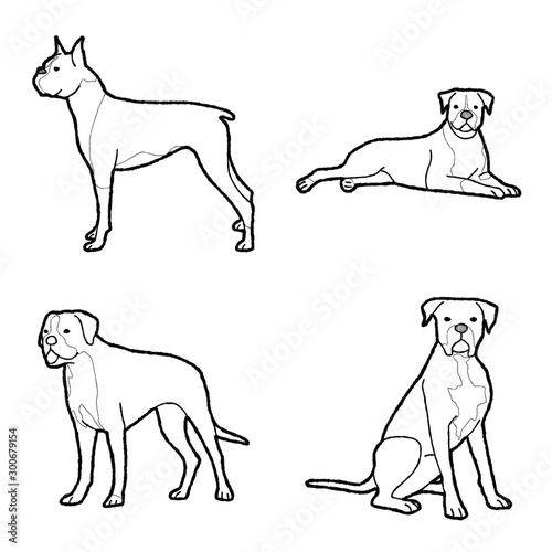 Boxer Animal Vector Illustration Hand Drawn Cartoon Art