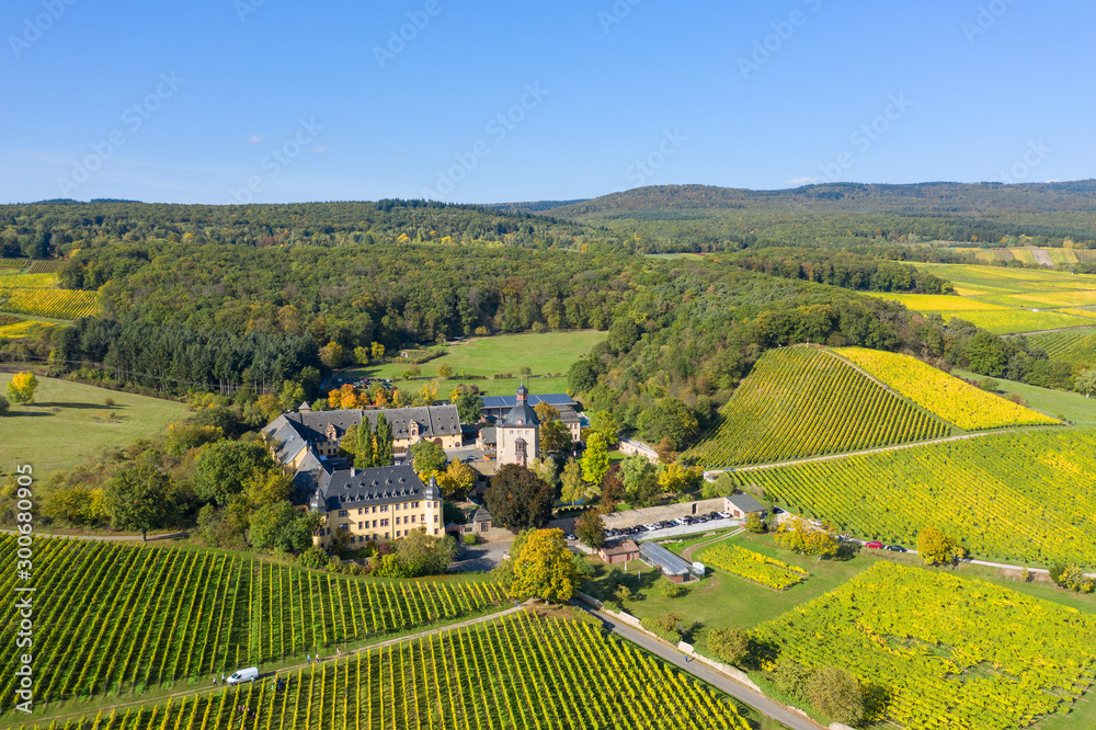 Die herbstlich verfärbten Weinberge bei Oestrich-Winkel/Deutschland und das Schloss Vollrads