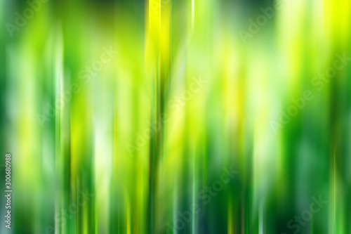 Green colorful blurred gradient background. Mixed motion texture. Abstract lines wallpaper