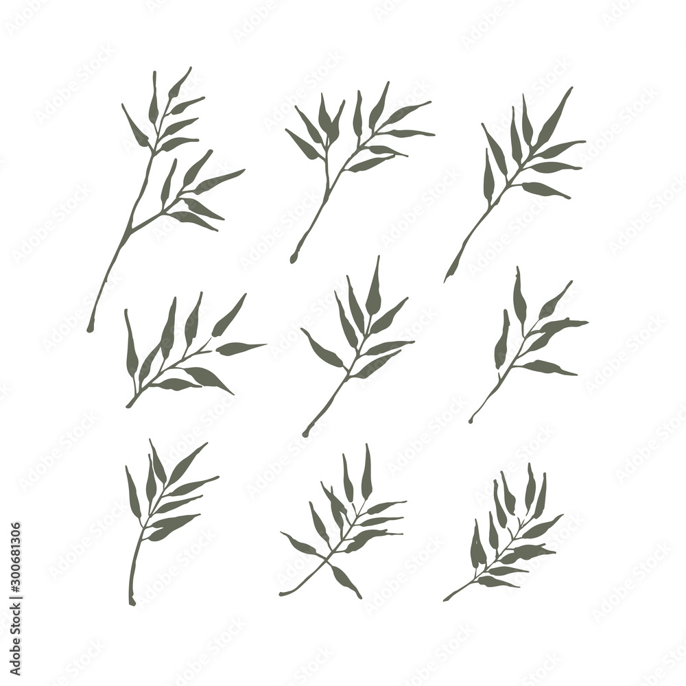Fototapeta premium Set of bamboo leaf design for summer holiday, vector illustration.