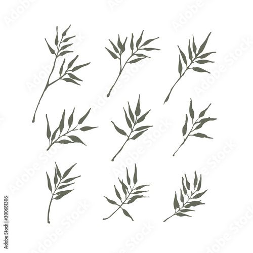 Set of bamboo leaf design for summer holiday  vector illustration.