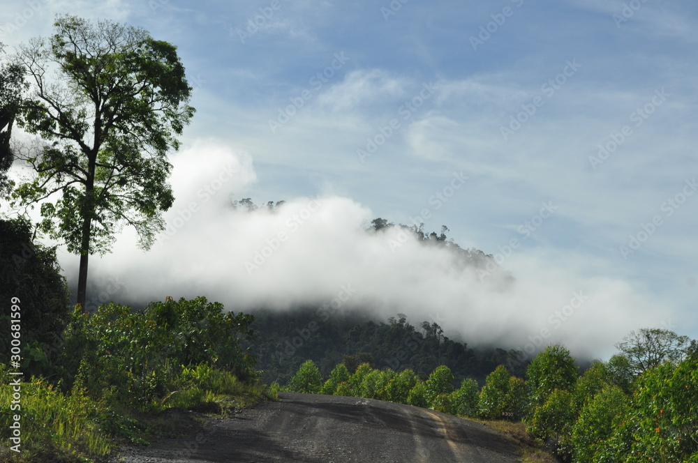 Miri, Sarawak / Malaysia - October 7, 2019: Amazing forest and river views in the misty sunrise hours