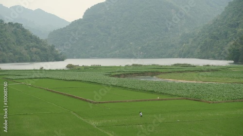 Babe lake with ricefields, north Vietnam landscape photo