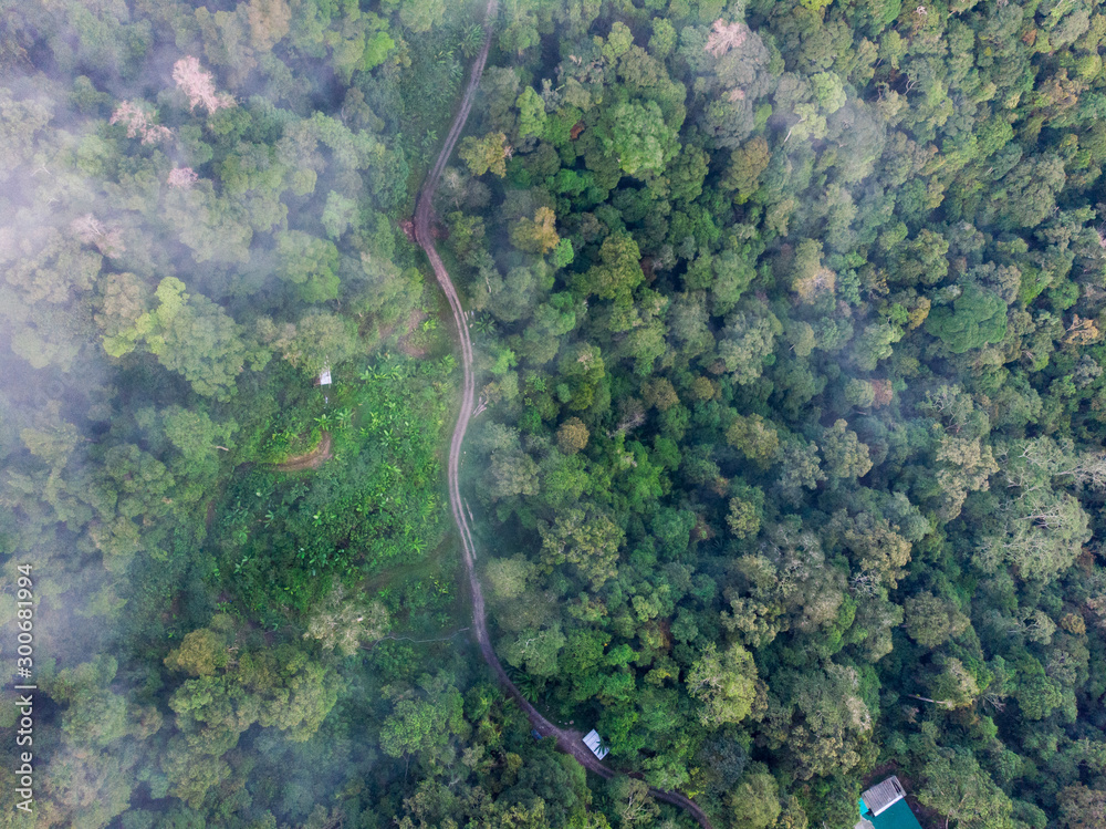 Foto Stock Amazing drone footage of beautiful nature deep rainforest jungle  on Kundasang, Sabah, Malaysia.- Travel Concept | Adobe Stock