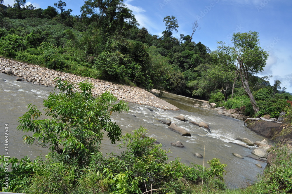 Miri, Sarawak / Malaysia - October 7, 2019: Amazing forest and river views in the misty sunrise hours