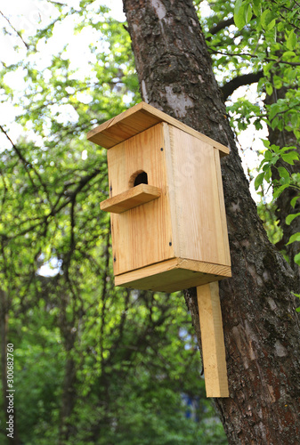 A wooden birdhouse in a tree. Green background.