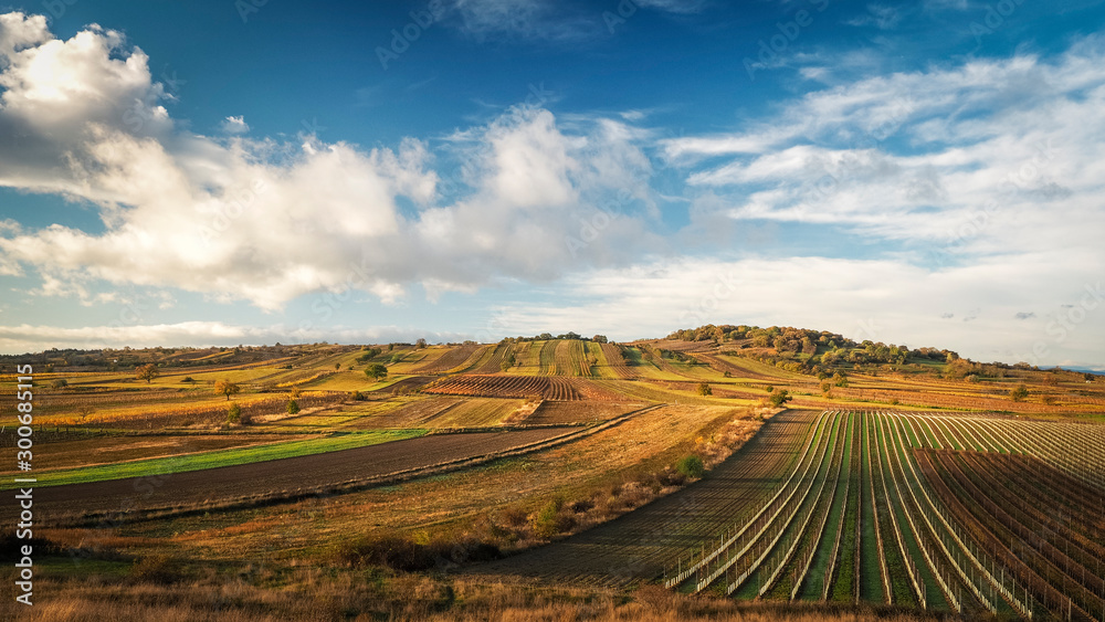 Autumn scenery with vineyards and a hill called Goldberg in Burgenland