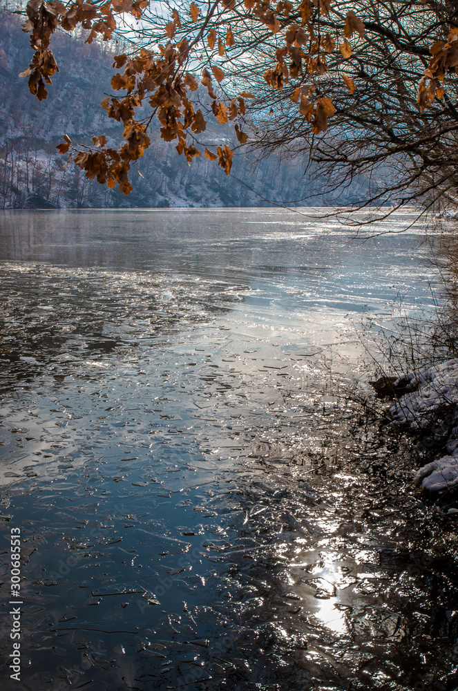 Nature photo, river with pieces of ice and tree branches with orange leaves.