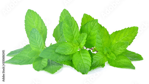 Fresh mint leafs isolated on a white background